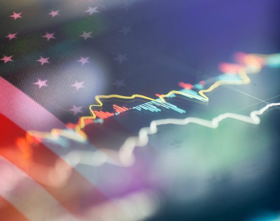 2025 U.S. Investor Intentions Survey Summary